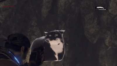I don't remember this easter egg on Goldrush