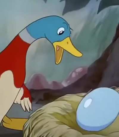 4 ducklings and…