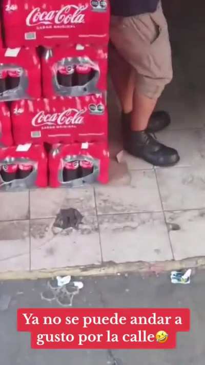 No se les va una