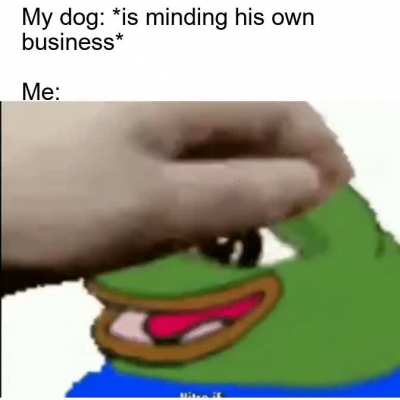 Good boy!