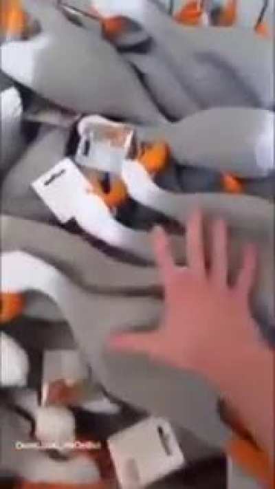 Aaaaaaaaaaaaaaa