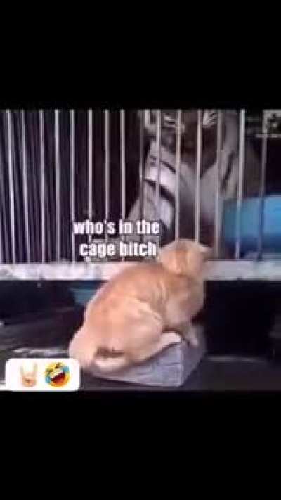 Maybe maybe maybe