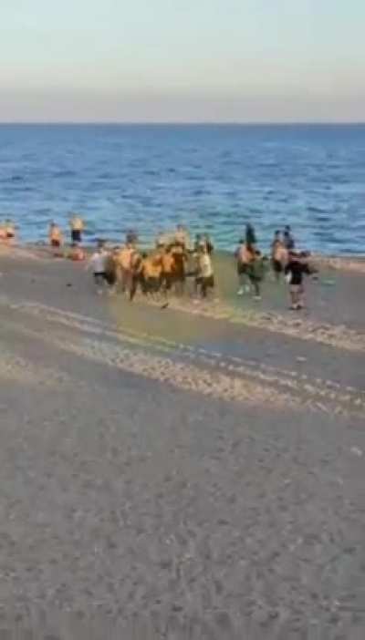 Turkey; Three Arabs were beaten up by Turks for trying to secretly take pictures of women in the beach