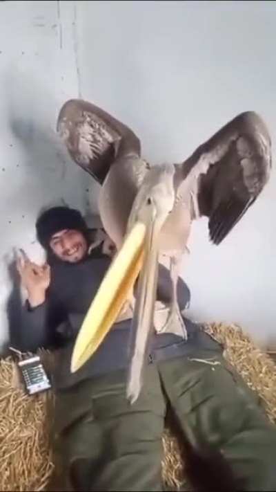 Защитник