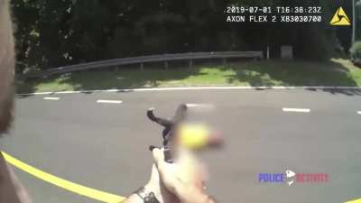 &ldquo;Just shoot them in the leg&rdquo; you say ?