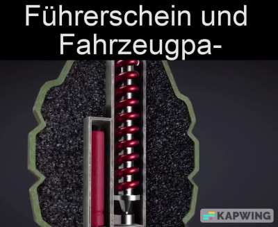 Ich wenn Kontrolle😎👍