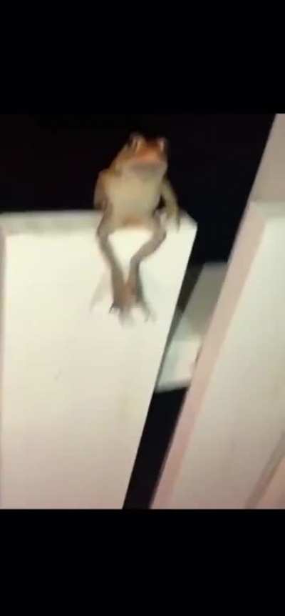 Do a flip