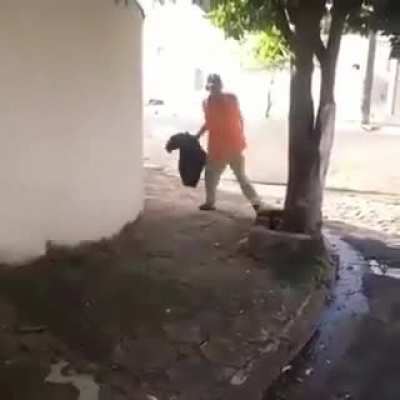 Eu estudei