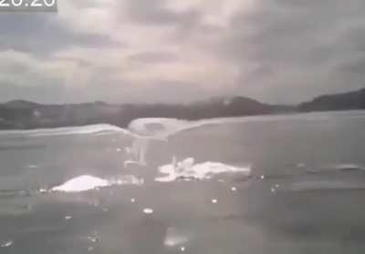Ты видишь здесь знаки?! {звук}