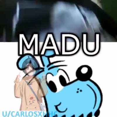 Y