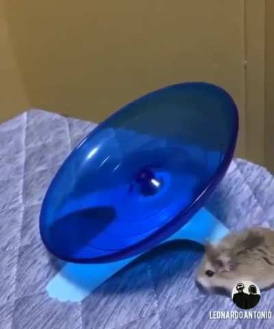 GOTTA GO FAST