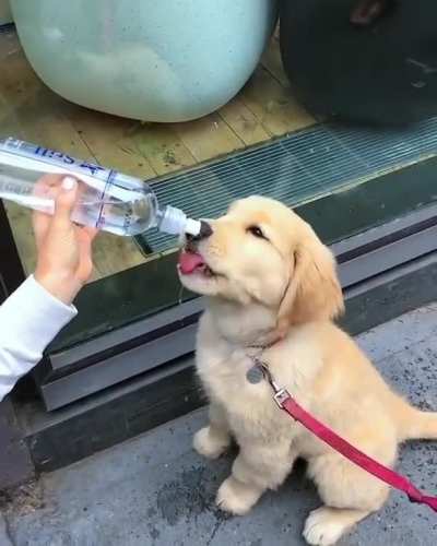This is a reminder to drink your water! Slurpppeeee..