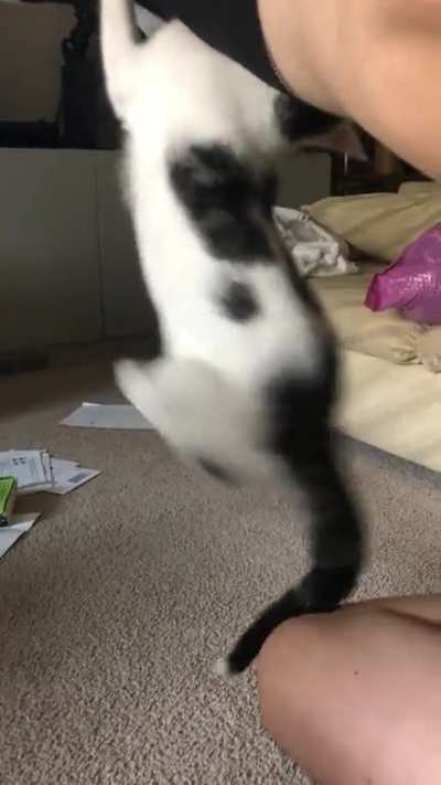 He yeeted himself mostly