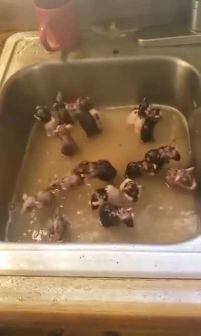 bath time boys