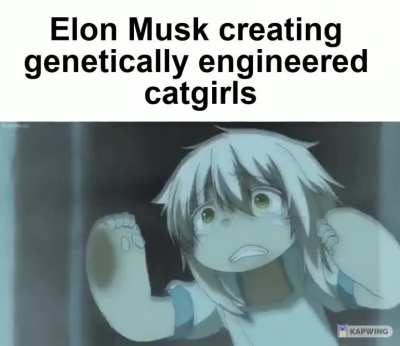 Scientific triumph rule