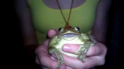 Sceaming frogg (found on perfectly cut laughs)