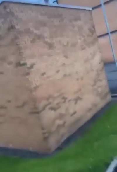 Trying to get the ball that bounced on top of the structure