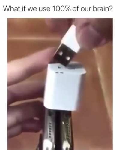 Big brain