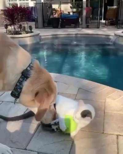 Sharing is caring
