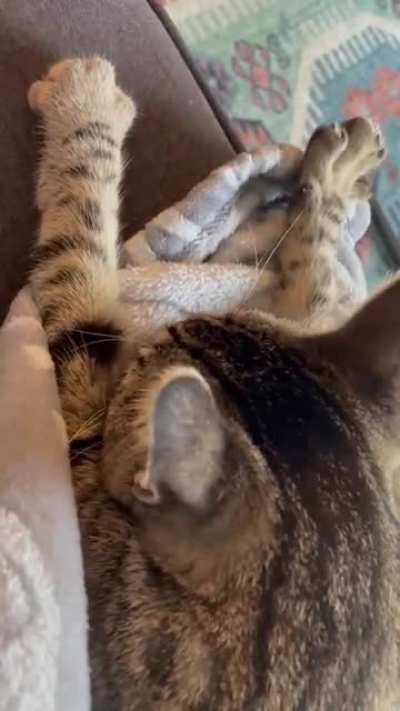 Bread making mitts