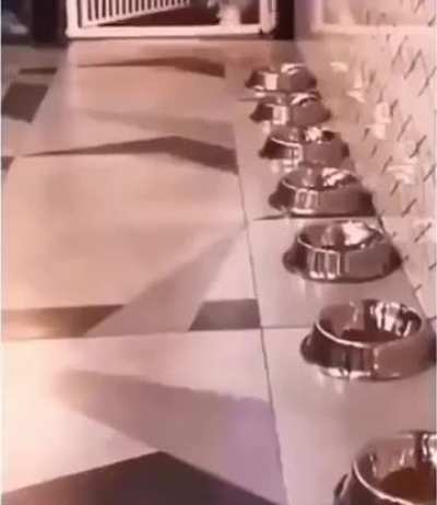 rule