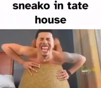 sneak
