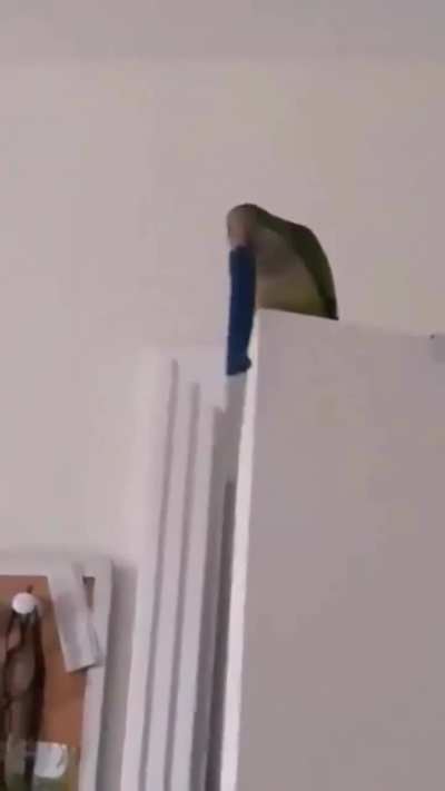 Maybe Maybe Maybe
