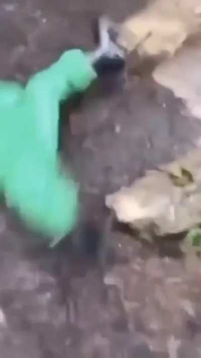 Is this Godzilla?