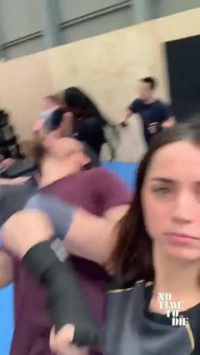 stunt training