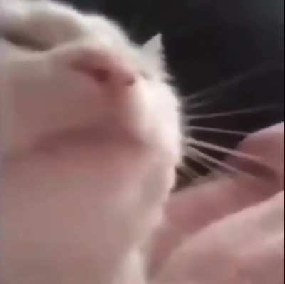 Me when I heard Praise God for the first time