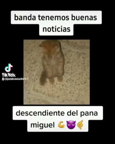 El panita