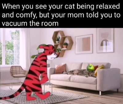 I am sorry little one