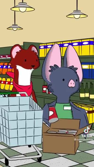 Echolocation_irl