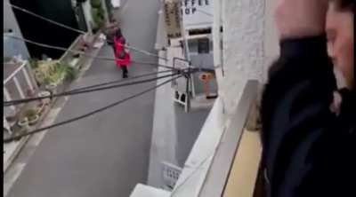 Electrical wires