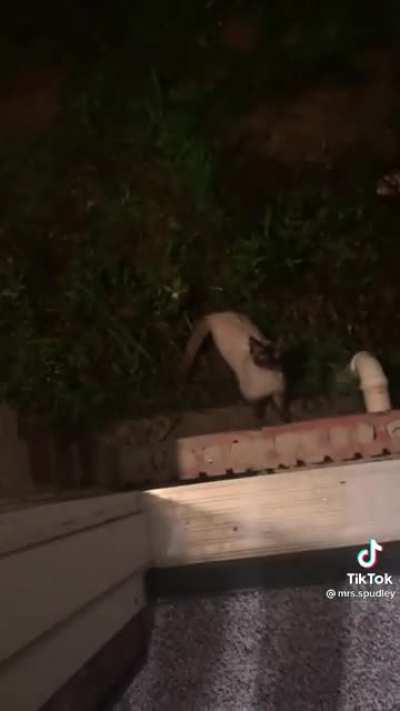 Oop