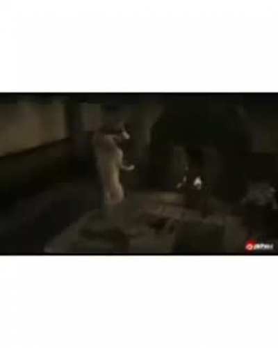 E a&iacute; meu nobre