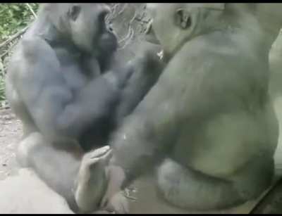 Monke fun