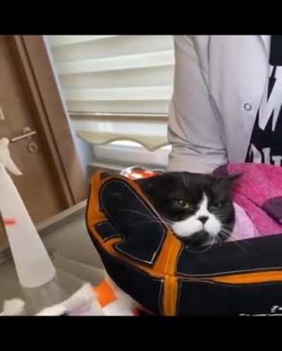 Olum &ccedil;ok iyi lan
