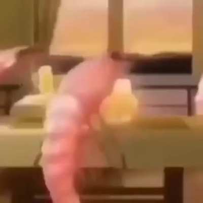 Camaron