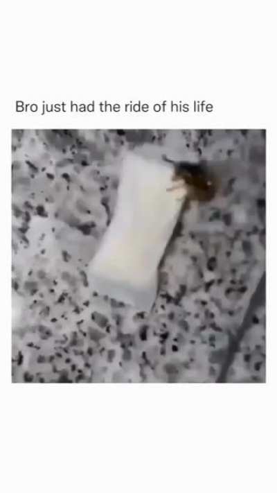 rule