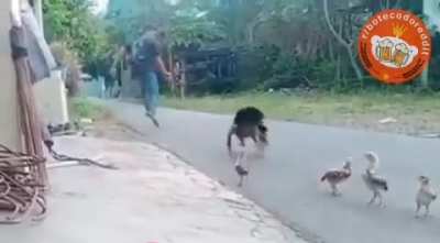 Volta aqui!!!!