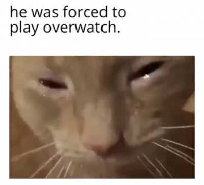 He was forced...