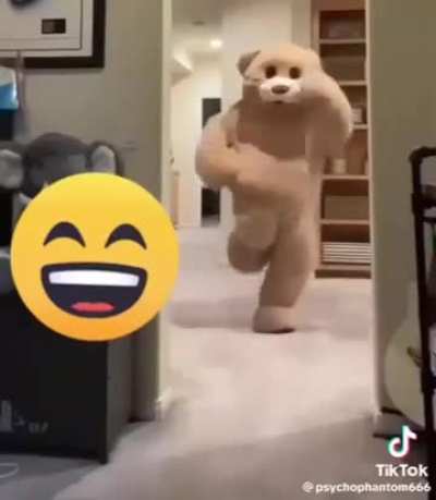 Bear