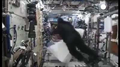 Astronaut Mark Kelly once smuggled a full gorilla suit on board the International Space Station. He didn't tell anyone about it. One day, without anyone knowing, he put it on.