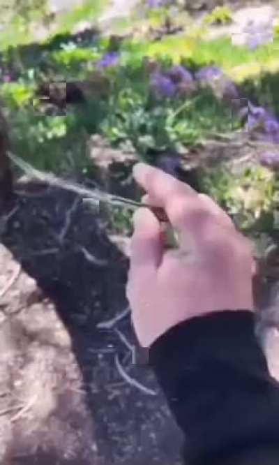 Abra...Kadabra