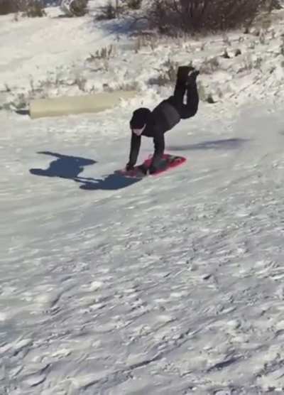 We don&rsquo;t talk about this scorpion enough...