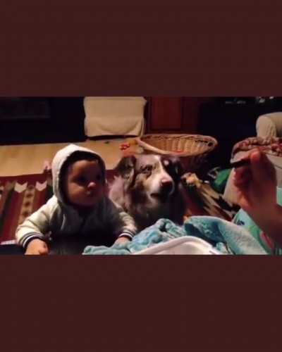 Mom &amp;amp; dad are trying to get their baby to say "mama" &amp;amp; "more". Instead, they burst out laughing when their dog says it first. Every child deserves to grow up with a good dog