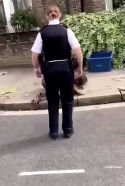 Cops anger wizard