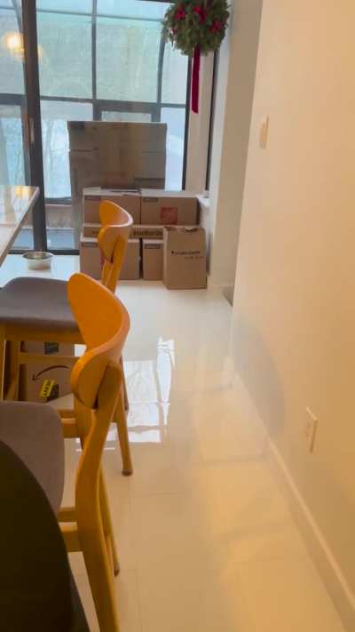 Our 17 Year Old Cat&rsquo;s Morning Mouse Parade