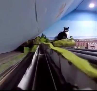 Catzilla